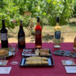 Z Alicante i Elche do vinařství: Zažijte tapas a vína 7