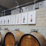 Z Alicante: Prohlídka vinařství a ochutnávka vín s tapas 9