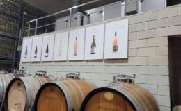 Z Alicante: Prohlídka vinařství a ochutnávka vín s tapas 7