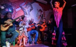 Valencie: Flamenco v Toro y La Luna s nápoji nebo večeří 10
