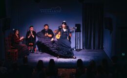 Flamencová show v podniku Palosanto ve Valencii 8
