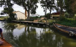 Přírodní park Albufera - výlet na kole a lodí 4