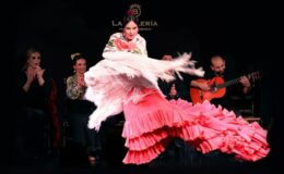Flamencová show s večeří v La Bulería v srdci Valencie 3