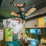 Využijte možnosti 1denní vstupenky do barcelonské zoo 11