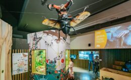 Využijte možnosti 1denní vstupenky do barcelonské zoo 14
