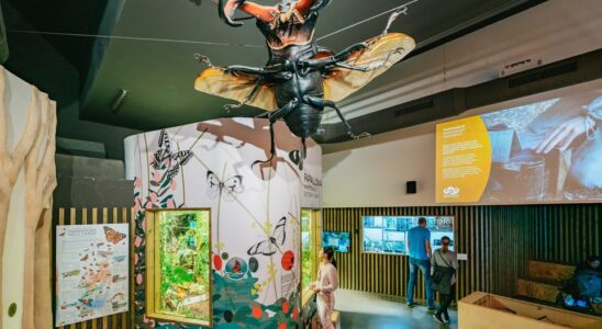 Využijte možnosti 1denní vstupenky do barcelonské zoo 2